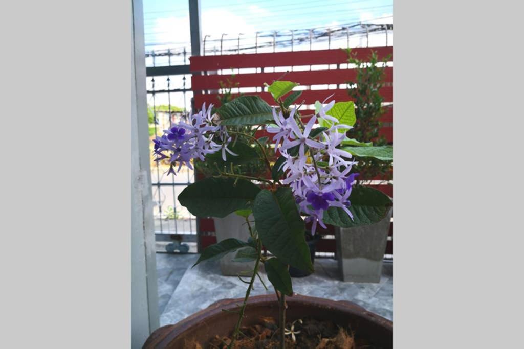 Bluebell House Hatyai - Cosy 3 Bedrooms For 10 Pax - 9 Mins Drive To Lee Grd Ban Kho Hong Exterior foto